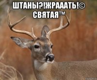 штаны?!жрааать!© святая™ 