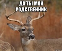 да ты мой родственник 