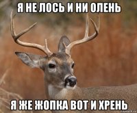 я не лось и ни олень я же жопка вот и хрень