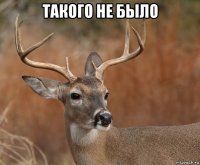 такого не было 