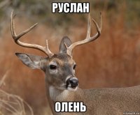 руслан олень