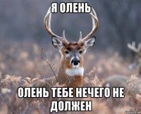 я олень олень тебе нечего не должен