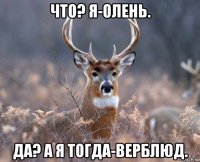 что? я-олень. да? а я тогда-верблюд.