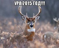 ура 2015 год!!! 