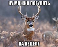 ну можно погулять на неделе