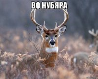 во нубяра 