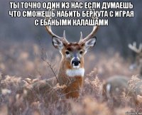 ты точно один из нас если думаешь что сможешь набить беркута с играя с ебаными калашами 