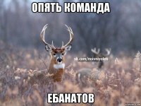 опять команда ебанатов