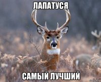 лапатуся самый лучший