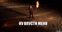 ну впусти меня