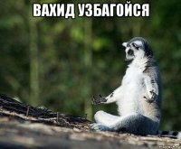 вахид узбагойся 