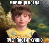 мое лицо когда пчел постит хуйню