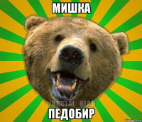 мишка педобир