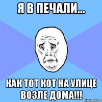 я в печали... как тот кот на улице возле дома!!!