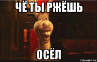 чё ты ржёшь осёл