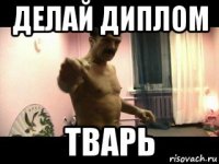 делай диплом тварь