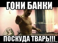 гони банки поскуда тварь!!!