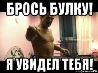 брось булку! я увидел тебя!