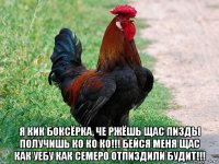  я кик боксёрка, че ржёшь щас пизды получишь ко ко ко!!! бейся меня щас как уебу как семеро отпиздили будит!!!