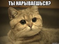 ты нарываешься? 