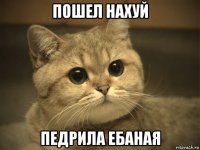 пошел нахуй педрила ебаная