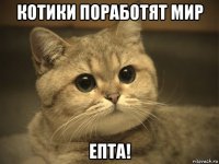 котики поработят мир епта!