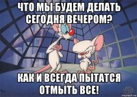 что мы будем делать сегодня вечером? как и всегда пытатся отмыть все!