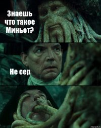 Знаешь что такое Миньет? Не сер 