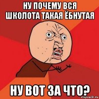 ну почему вся школота такая ёбнутая ну вот за что?