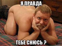 я правда тебе снюсь ?