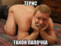 терис такой лапочка