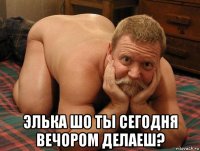  элька шо ты сегодня вечором делаеш?