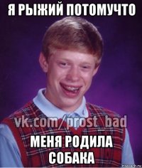 я рыжий потомучто меня родила собака