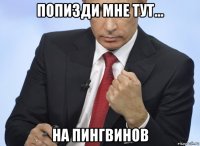 попизди мне тут... на пингвинов