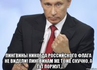  пингвины никогда российского флага не видели! пингвинам же тоже скучно, а тут поржут