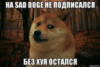 на sad doge не подписался без хуя остался