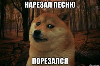 нарезал песню порезался