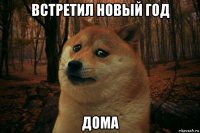 встретил новый год дома