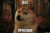 все проспал