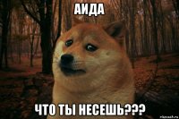 аида что ты несешь???