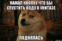 нажал кнопку что бы спустить воду в унитазе поднялась