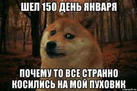 шел 150 день января почему то все странно косились на мой пуховик