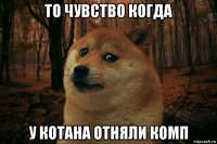 то чувство когда у котана отняли комп