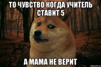 то чувство когда учитель ставит 5 а мама не верит