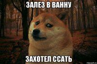 залез в ванну захотел ссать