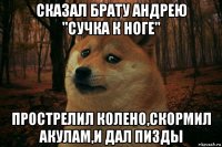 сказал брату андрею "сучка к ноге" прострелил колено,скормил акулам,и дал пизды