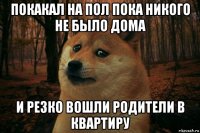 покакал на пол пока никого не было дома и резко вошли родители в квартиру