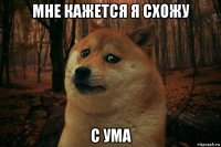 мне кажется я схожу с ума