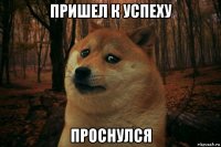 пришел к успеху проснулся