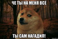 че ты на меня все ты сам нагадил!